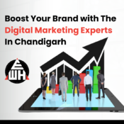 Boost-Your-Brand-with-The-Digital-Marketing-Experts-In-Chandigarh